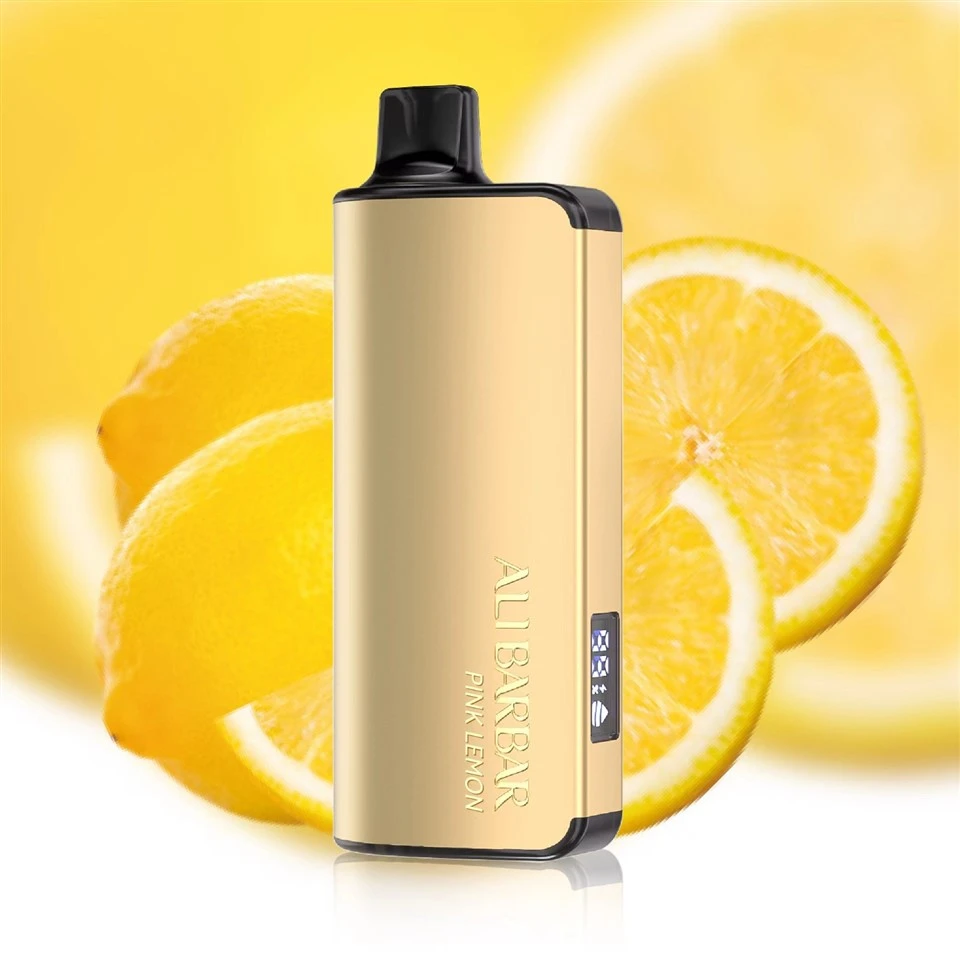 ALIBARBAR INGOT 9000 Puff Vape factory
